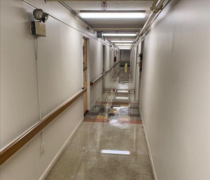 Hallway with closed doors and standing water on the floor
